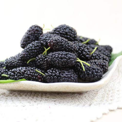 Mulberry Drying Process